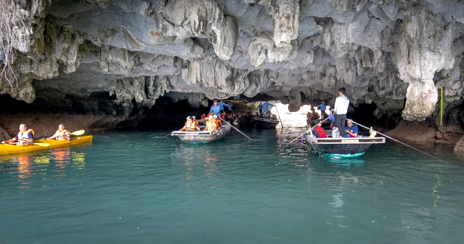 Kayaking the Central Coast: Sea Caves & Marine Life