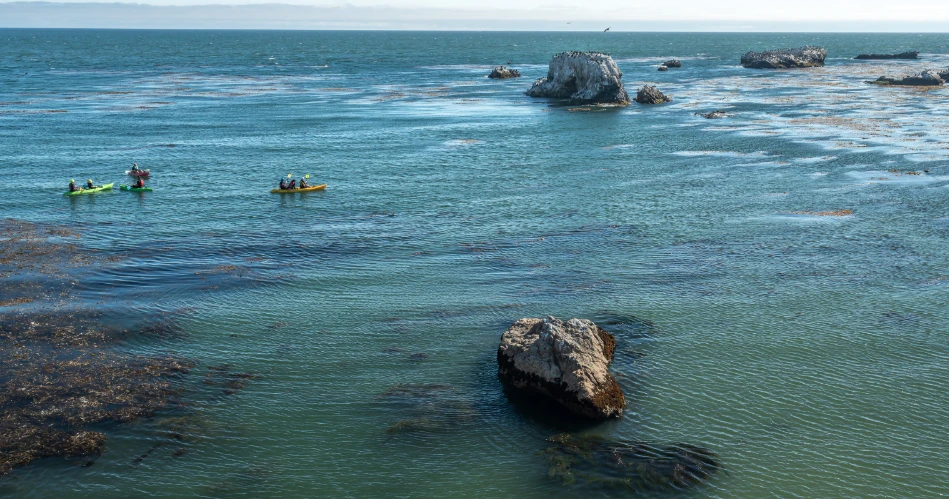 Kayaking the Central Coast: Sea Caves & Marine Life