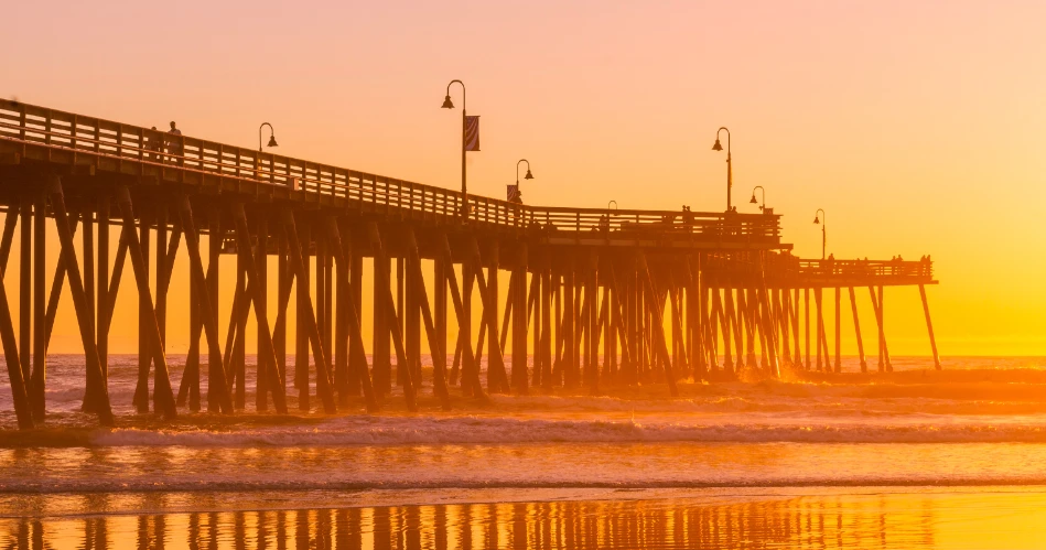 Pismo Preserve Hiking Trails: Scenic Views & Wildlife